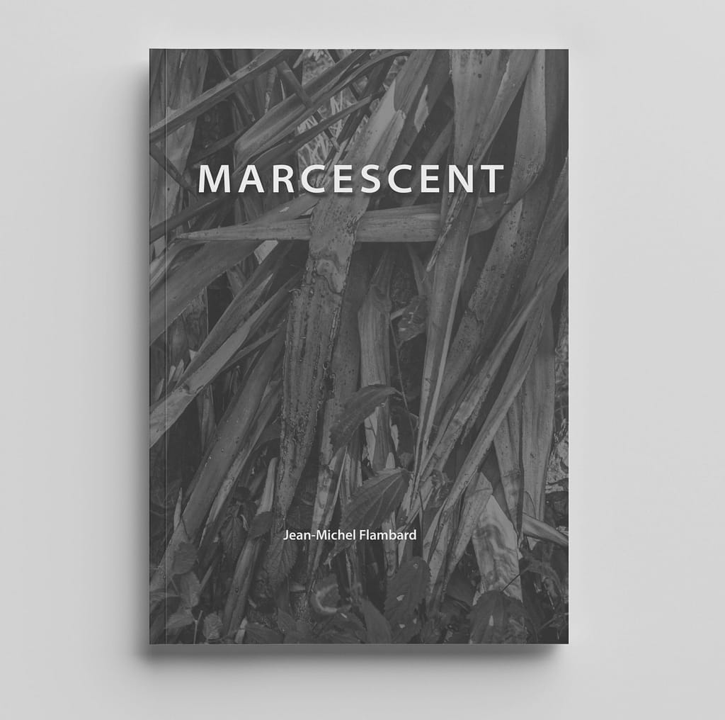 1ere de couverture du livre Marcescent
