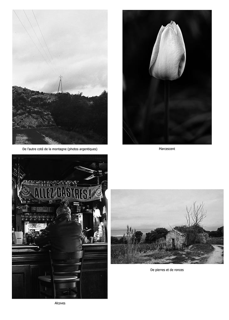 Extraits des expositions aux quelles j'ai pu participer grâce aux autres formidables photographes
